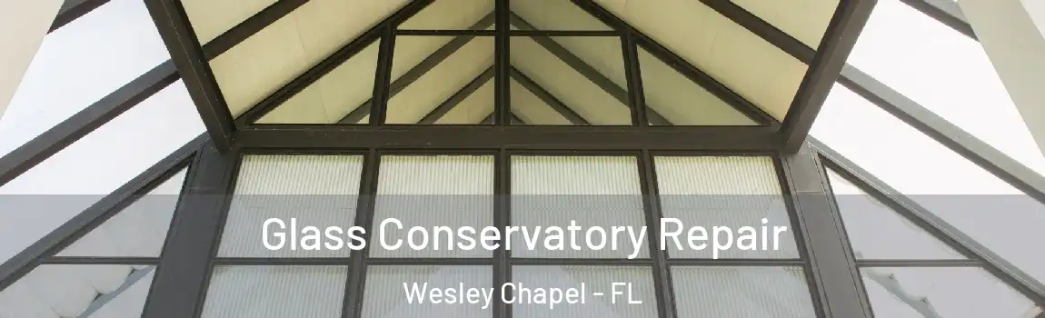 Glass Conservatory Repair Wesley Chapel - FL