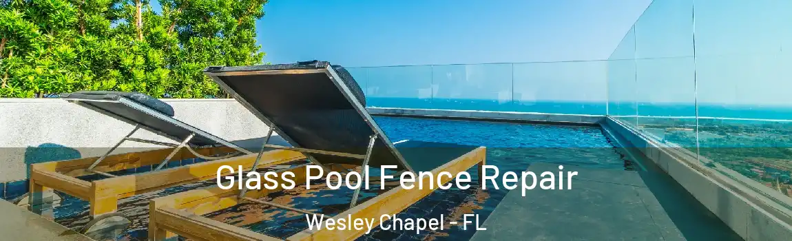 Glass Pool Fence Repair Wesley Chapel - FL