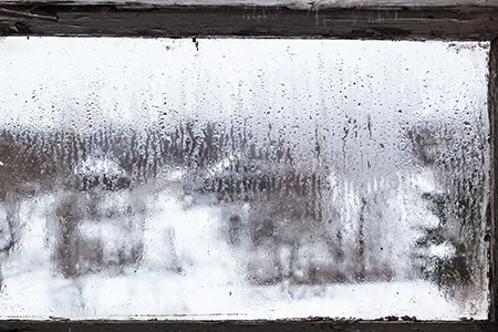 Defogging Double Pane Windows in Wesley Chapel, FL
