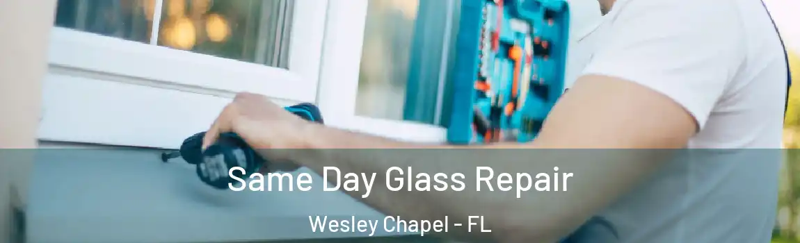  Same Day Glass Repair Wesley Chapel - FL