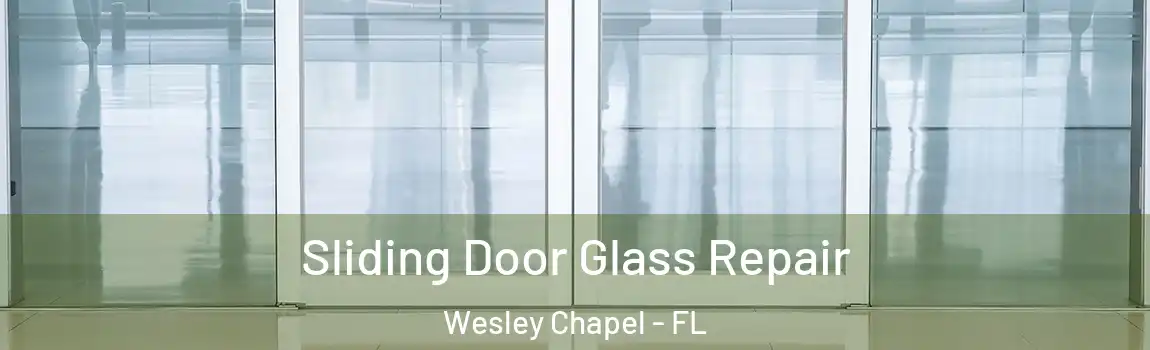  Sliding Door Glass Repair Wesley Chapel - FL