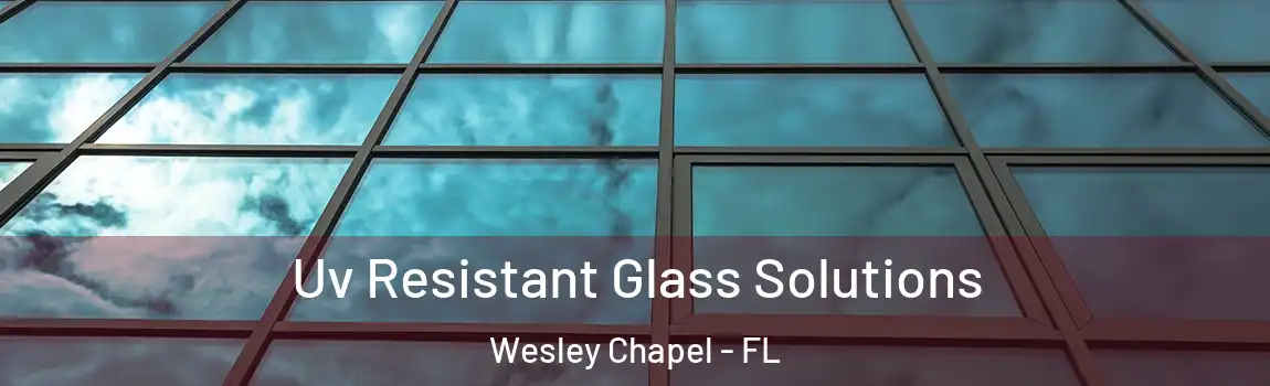  Uv Resistant Glass Solutions Wesley Chapel - FL