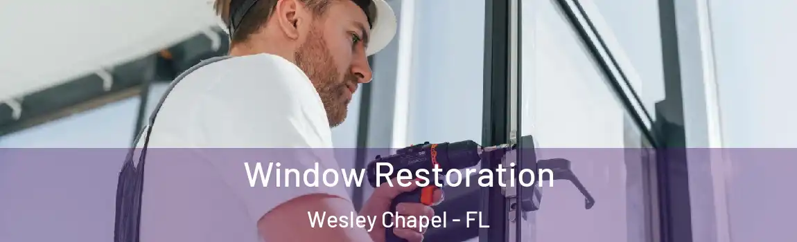 Window Restoration Wesley Chapel - FL